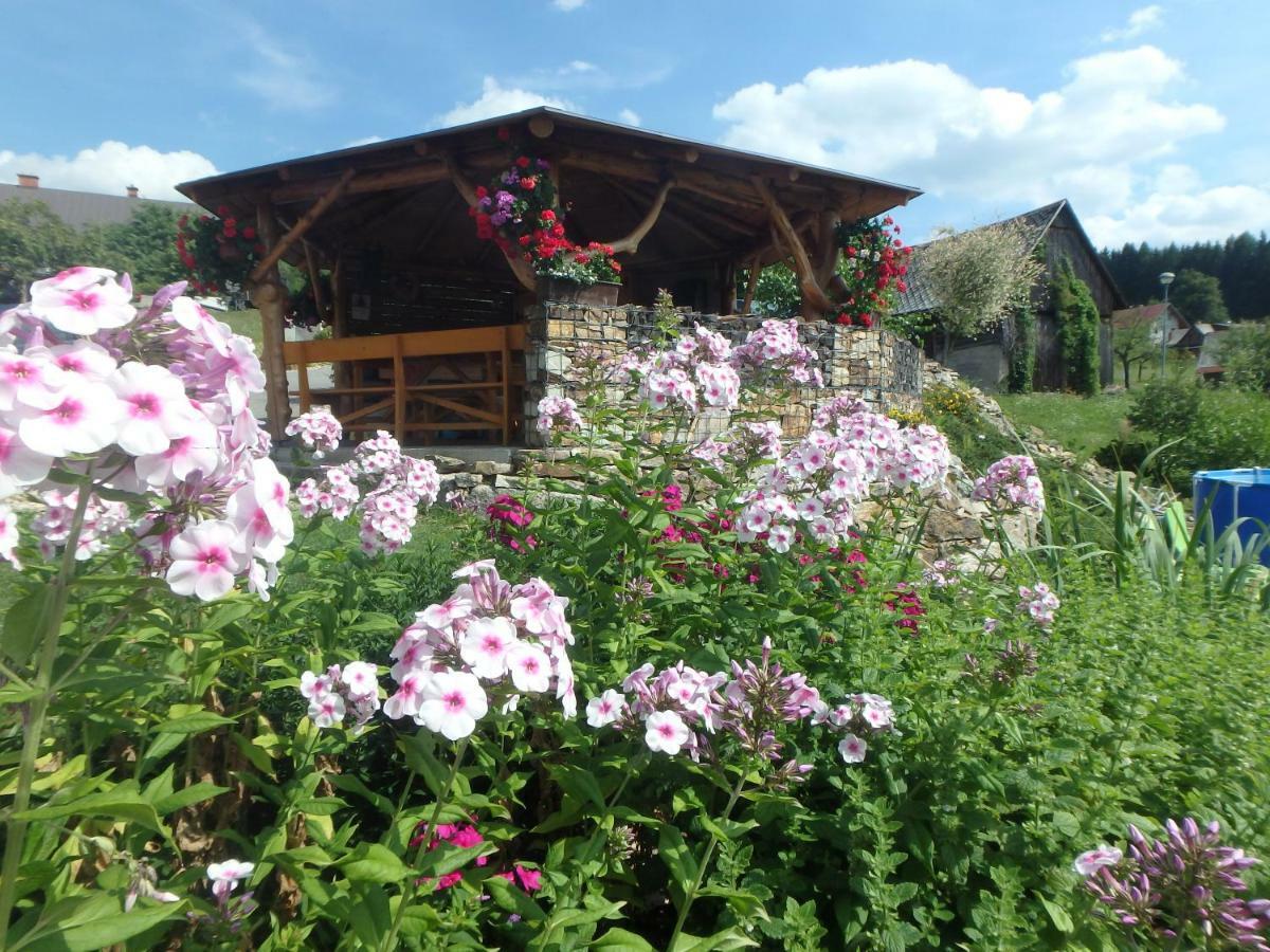 Apartments Vecernik Rokytnice Rokytnice nad Jizerou Exterior foto